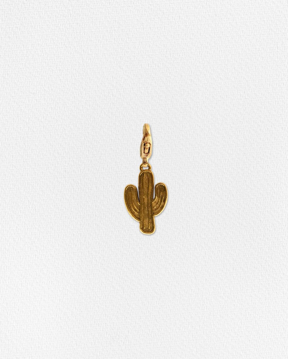 Charm cactus grabado