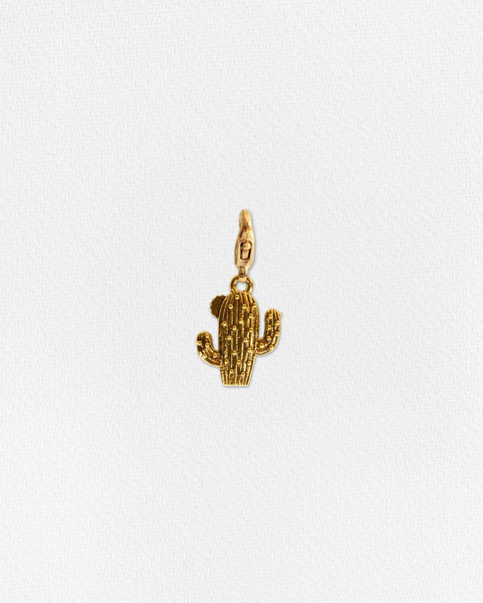 Charm cactus