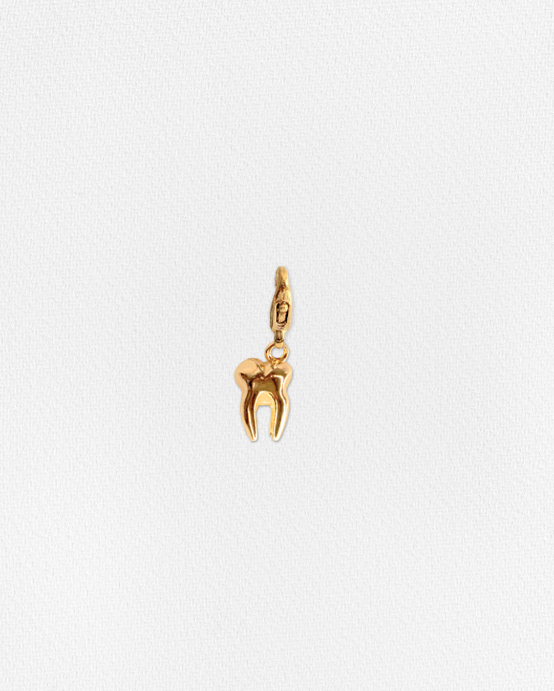 Charm Dientito