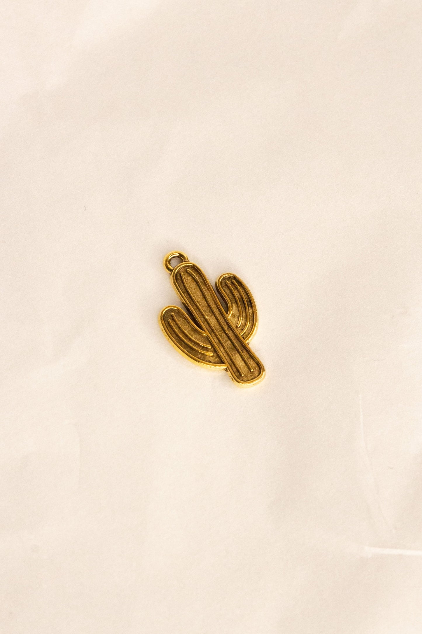 Charm cactus grabado