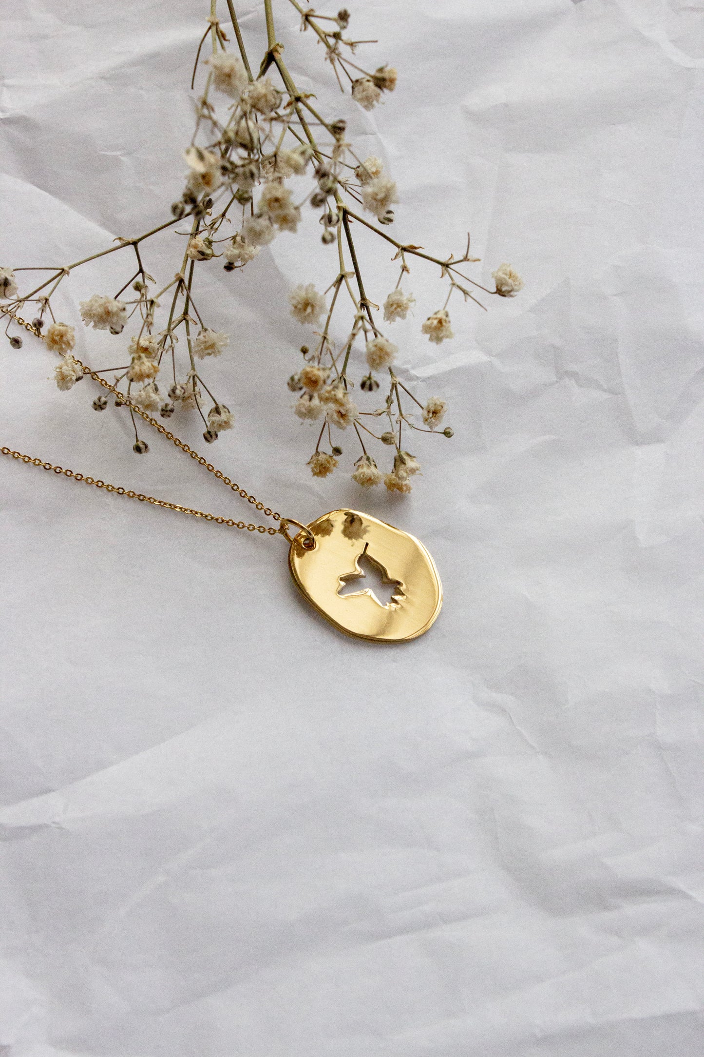 Collar personalizado - Colibrí