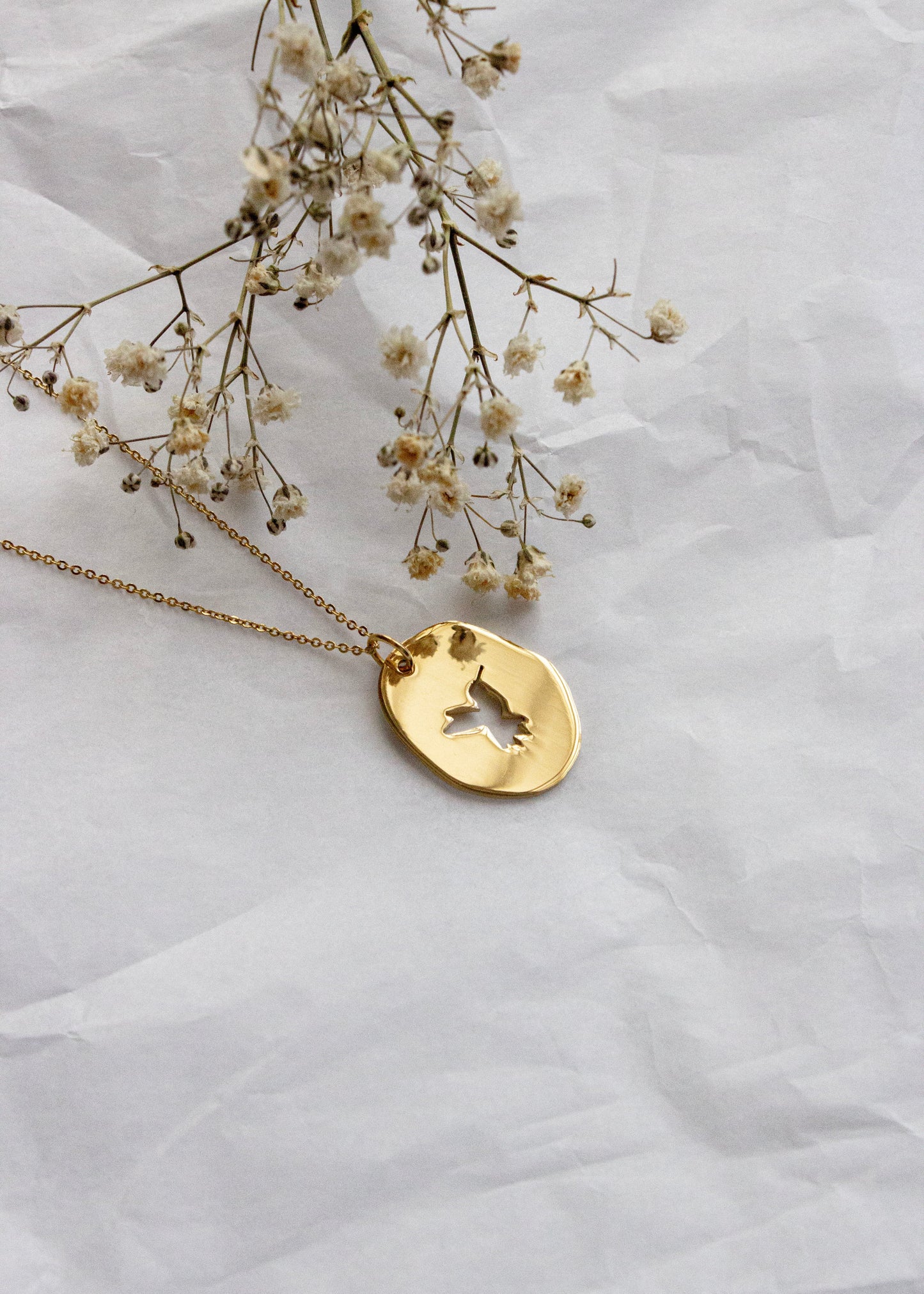 Collar personalizado - Colibrí