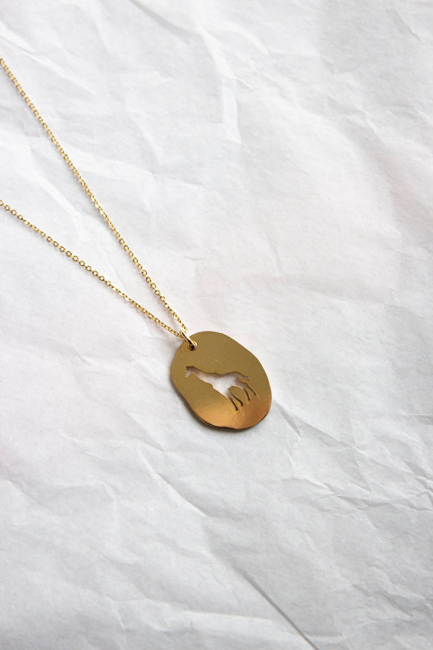 Collar personalizado - Colibrí