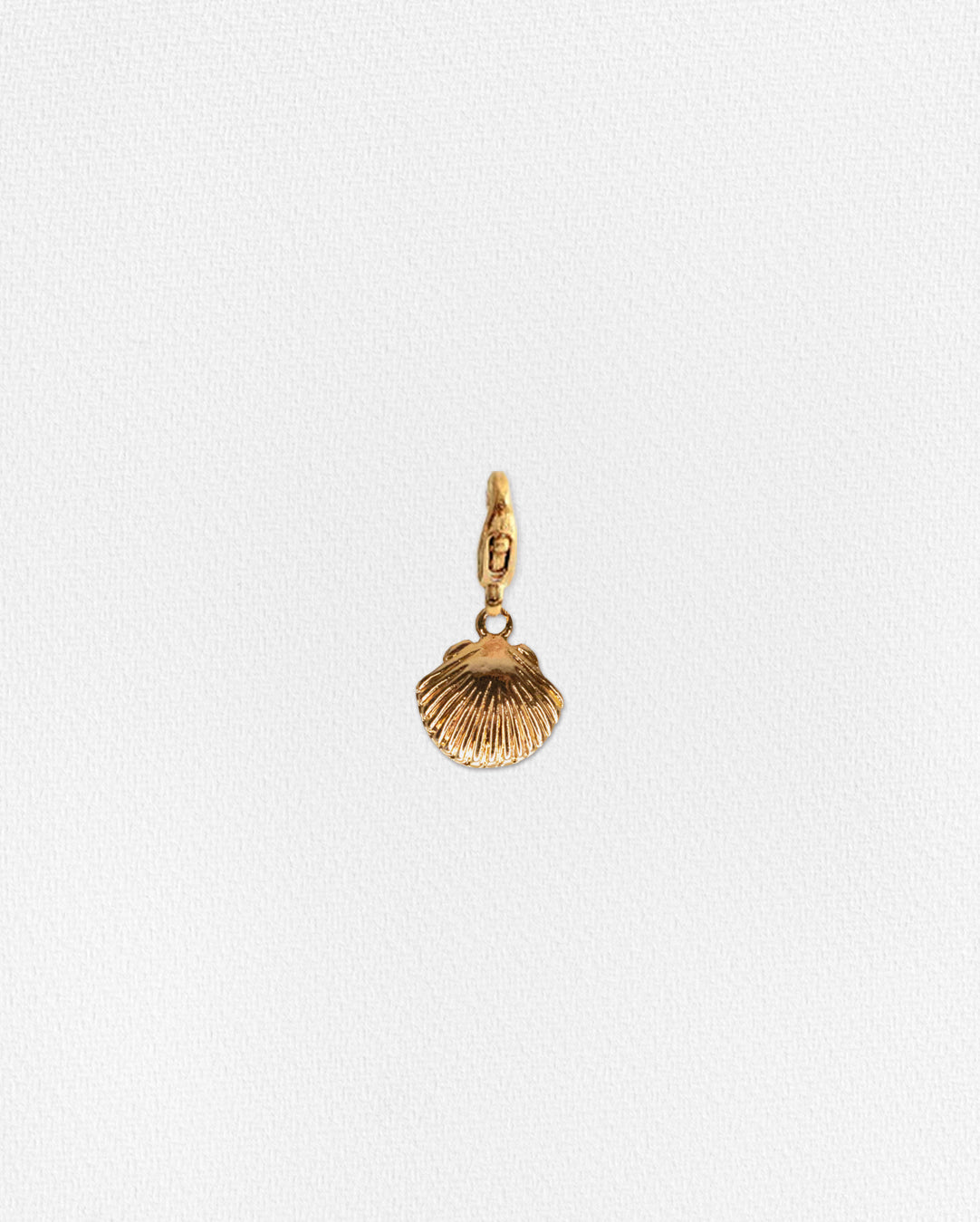 Charm Conchita