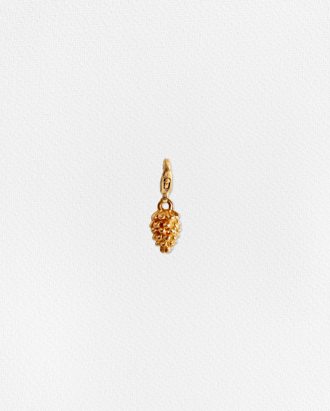 Charm piña