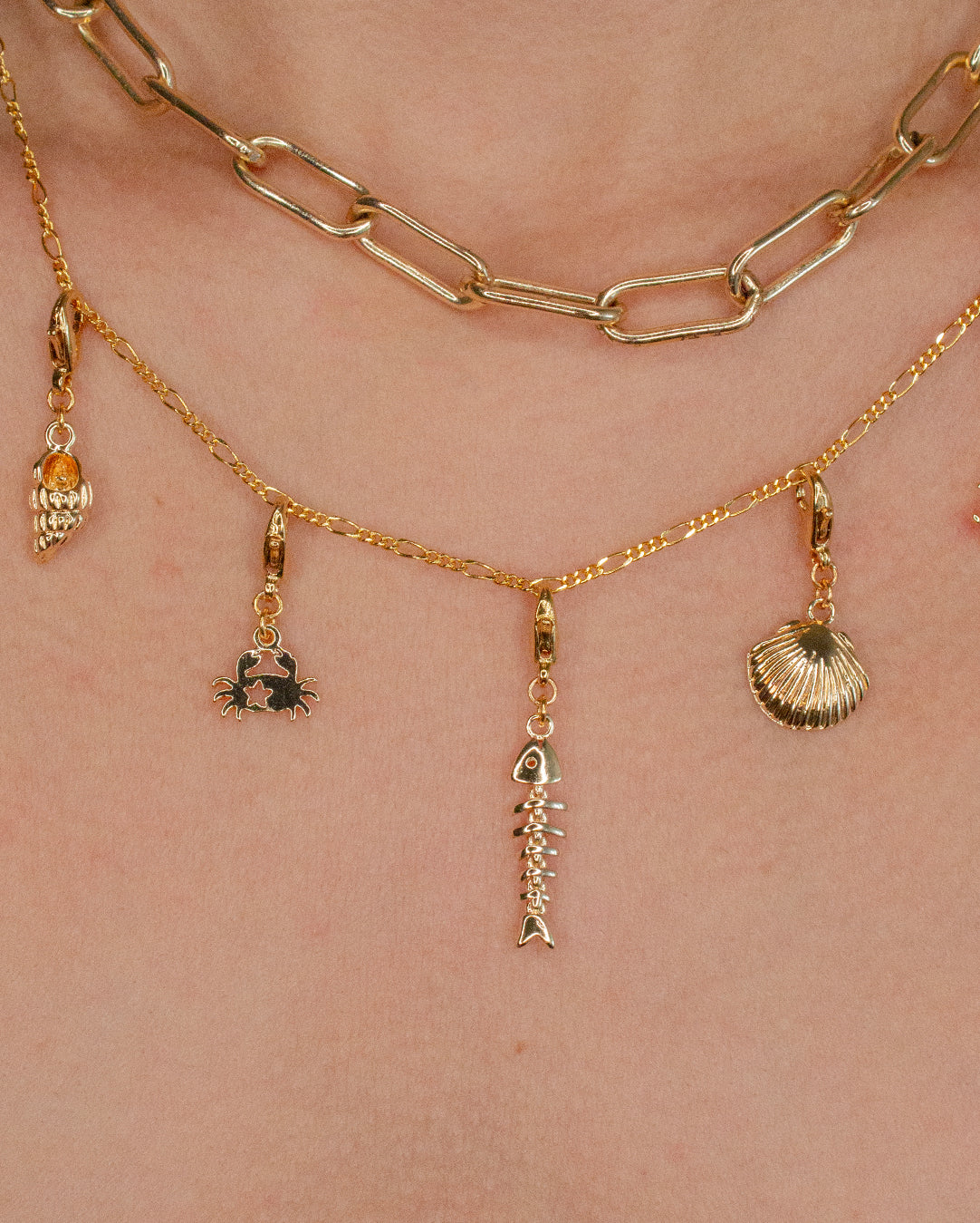Charm Cangrejito