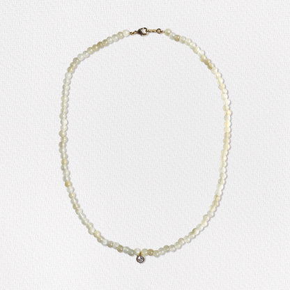 Collar Sam
