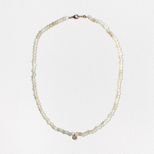Collar Sam