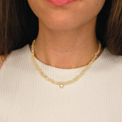 Collar Sam